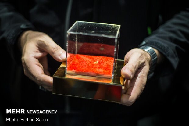 عکس| قدیمیترین دندان انسان در قزوین رونمایی شد عکس| قدیمیترین دندان انسان در قزوین رونمایی شد