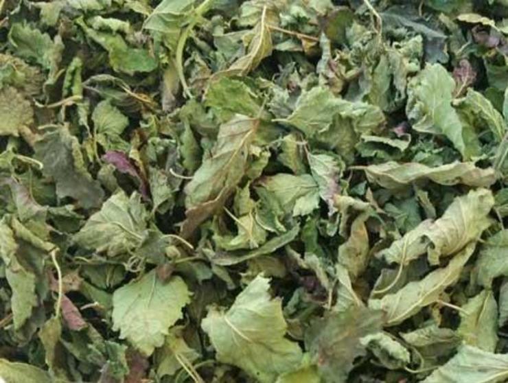 با این گیاه، به جنگ افسردگی بروید