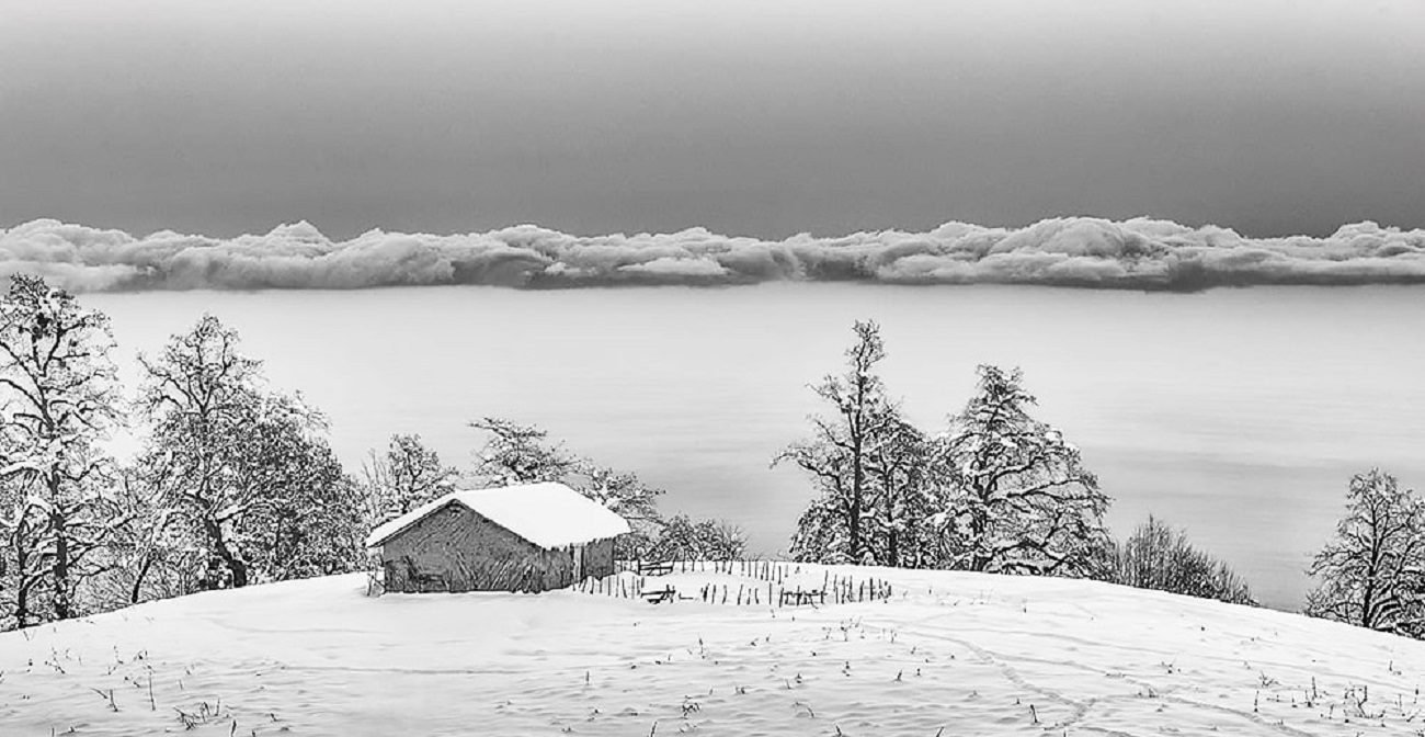 تصاویر| زمستان زیبای جنگل‌های تنکابن