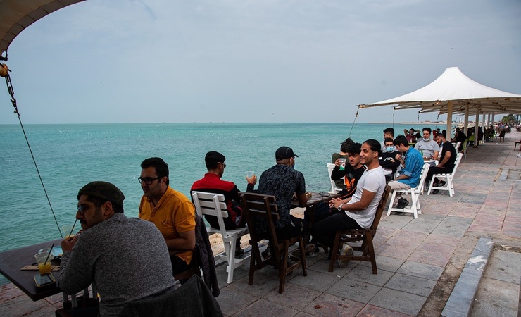 تصاویر| میهمانان وقت‌نشناس در ساحل بوشهر