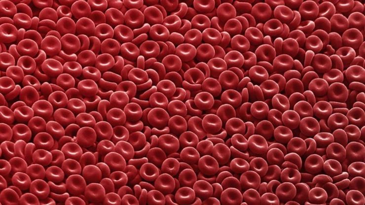 چطور تعداد گلبول‌های قرمز خون را افزایش دهیم؟