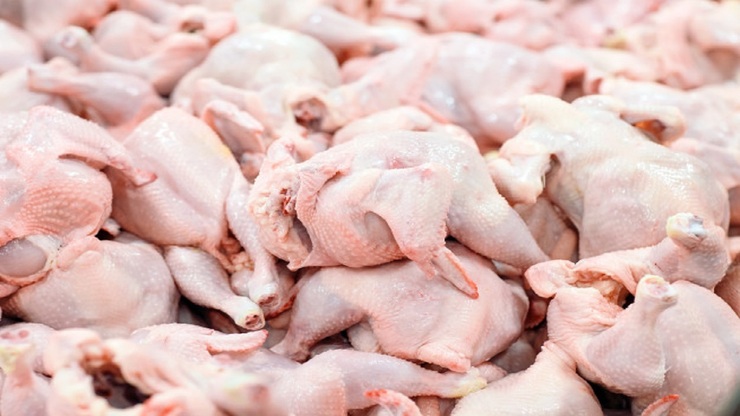 تابش: قیمت مرغ تا ۲۴ ساعت دیگر کاهش می یابد