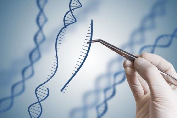 تغییرات اپی ژنتیکی خطر ابتلا به سرطان را می‌افزاید