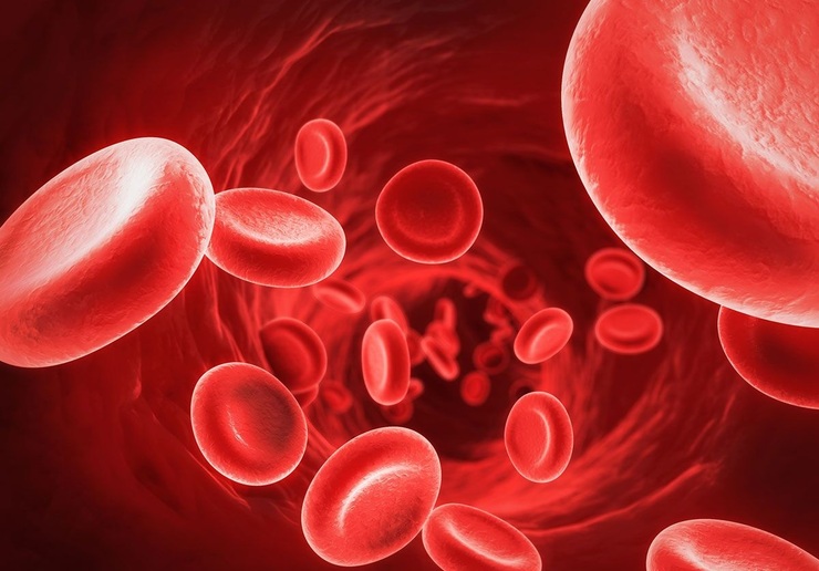 پلاکت‌های خون را چگونه به صورت طبیعی افزایش دهیم؟