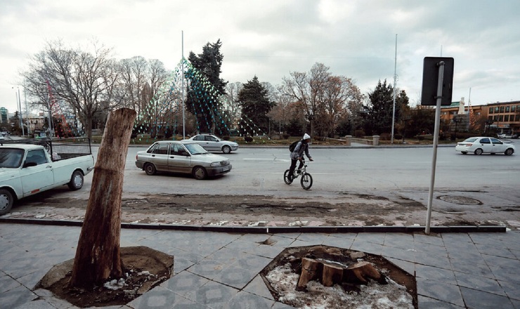تصاویر| جای خالی درخت در خیابان و کوچه‌های شهر