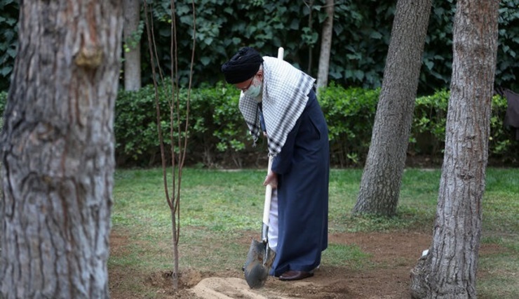 عکس| نهال‌کاری رهبر انقلاب به مناسبت روز درختکاری