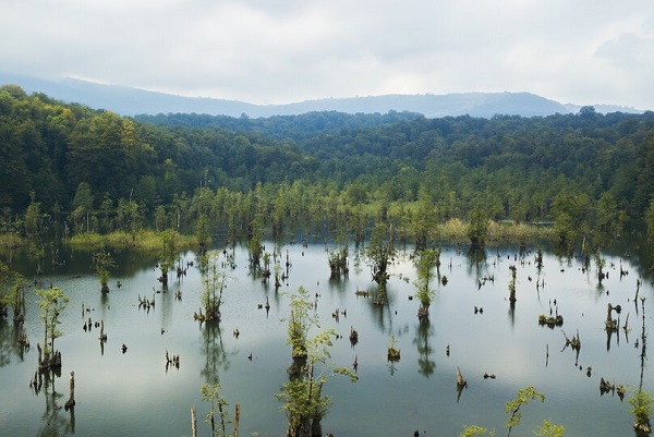 عکس| سد ممرز تَرَک برداشت / خطر سیل‌بردگی ۴ روستای نوشهر