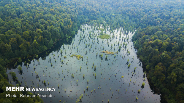 عکس| سد ممرز تَرَک برداشت / خطر سیل‌بردگی ۴ روستای نوشهر