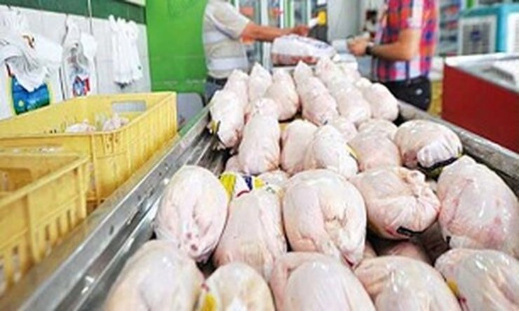 قیمت مرغ این هفته کاهش می‌یابد؟