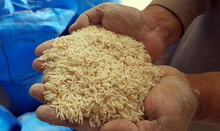 برنج خارجی رکوردار نوسان قیمت در بهمن ماه