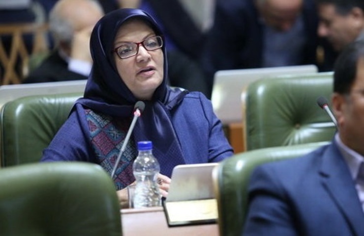 برخورد لفظی در شورای شهر تهران بر سر تذکر به وزیر بهداشت/ رئیس جلسه میکروفن خداکرمی را قطع کرد