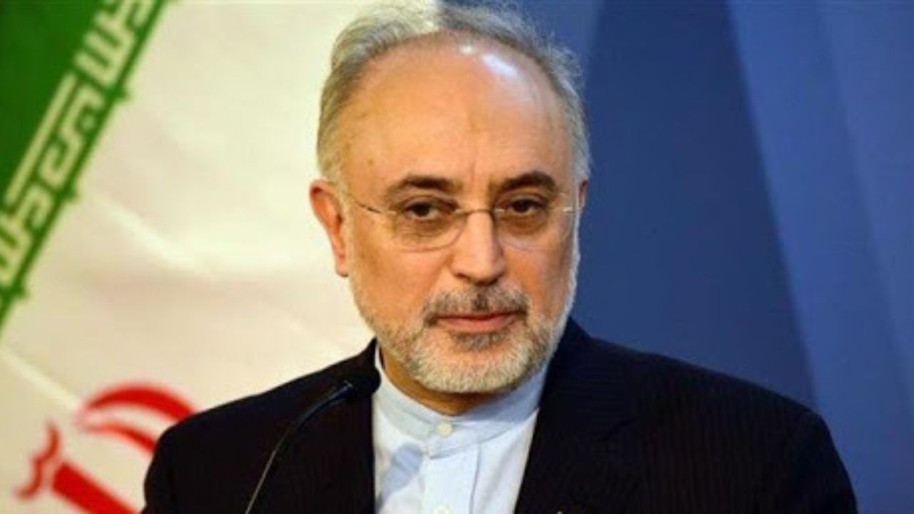 علی اکبر صالحی: در چارچوب تعیین شده از سوی مسئولان ارشد حرکت کردیم
