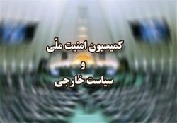 کمیسیون امنیت ملی وضعیت دانشمند ایرانی بازداشت شده در آمریکا را بررسی می‌کند