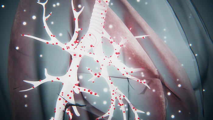 آیا تغییر علائم کرونا از تنفسی به گوارشی واقعیت دارد؟ آیا تغییر علائم کرونا از تنفسی به گوارشی واقعیت دارد؟