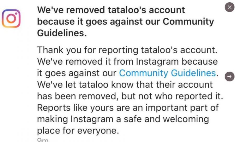 جنجال پیشنهاد بیشرمانه تتلو به دختران جنجال پیشنهاد بیشرمانه تتلو به دختران