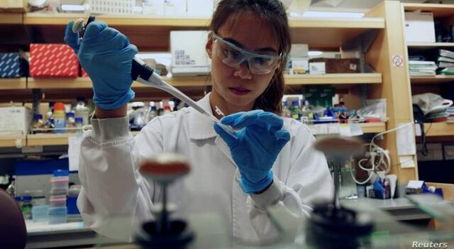 مخالفت چین با تحقیق بینالمللی درباره منشأ کرونا مخالفت چین با تحقیق بینالمللی درباره منشأ کرونا