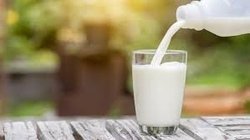 شیر جوشیده نشده و غیرپاستوریزه نخورید