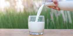 دلایلی علمی برای رد خرید شیر از لبنیاتی‌های سنتی