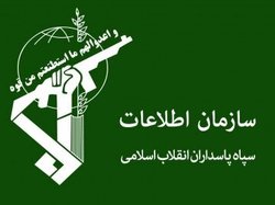 اطلاعات سپاه: اعضای باند پارتی‌های مختلط شبانه را بازداشت کردیم
