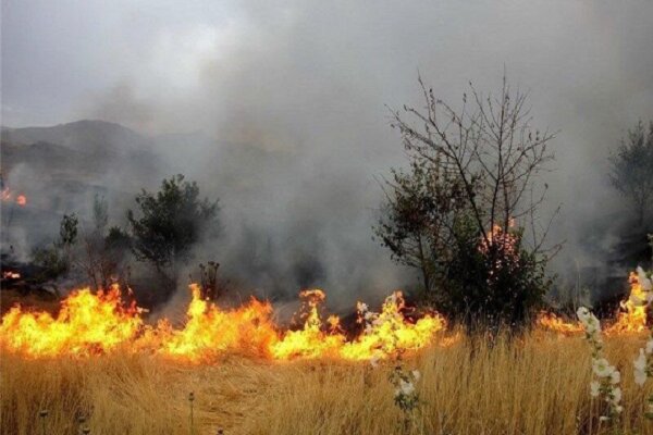 ۲ هکتار از جنگل پارک ملی دز در آتش سوخت