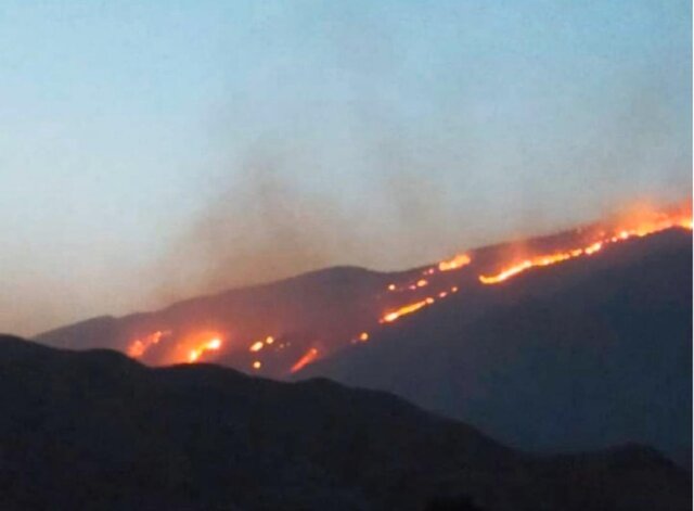 آتش بی‌توجهی بر پیکر طبیعت جنوب ایران؛ بالگردهایی که نرسیده خراب می‌شوند!