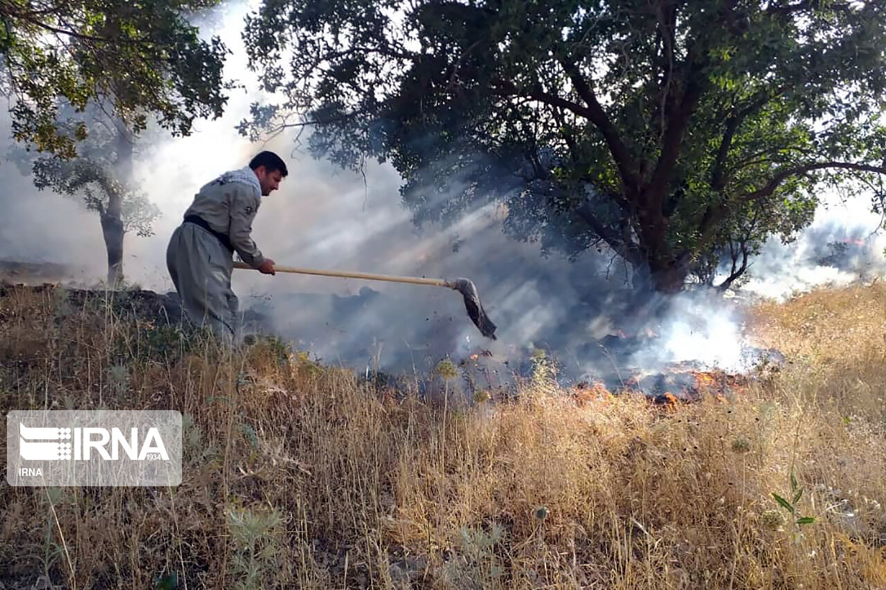 جنگلهای بوزین و مرخیل پاوه برای هفتمین روز در آتش می‌سوزند