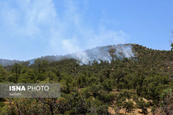 آتش به جان ۱۰۰ هکتار جنگل بوئین‌زهرا افتاد