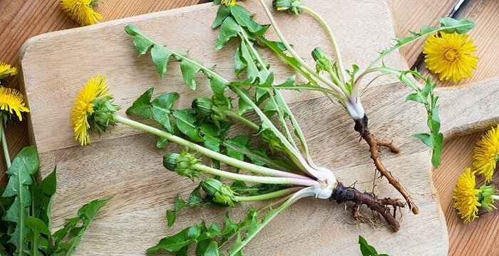 ۷ داروی خانگی فوق العاده موثر برای دفع سنگ کلیه ۷ داروی خانگی فوق العاده موثر برای دفع سنگ کلیه