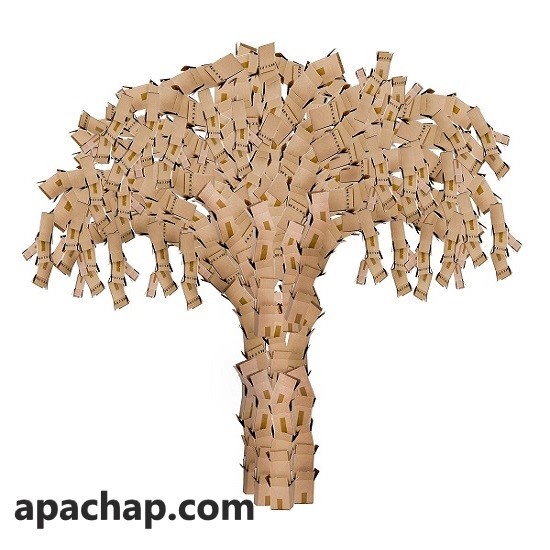 کارتن‌سازی چیست و چاپ کارتن به چه شکلی انجام می‌شود؟