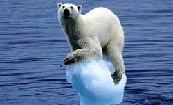 گرمای نگران‌کننده در قطب شمال، زمین در معرض خطر