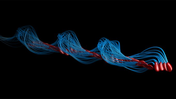 کشف یک خطای علمی پس از ۳۴۰ سال؛ چشمان انسان در مشاهده حرکت اسپرم اشتباه کرده است