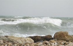 هواشناسی بوشهر نسبت به وزش باد و تلاطم دریا هشدار داد