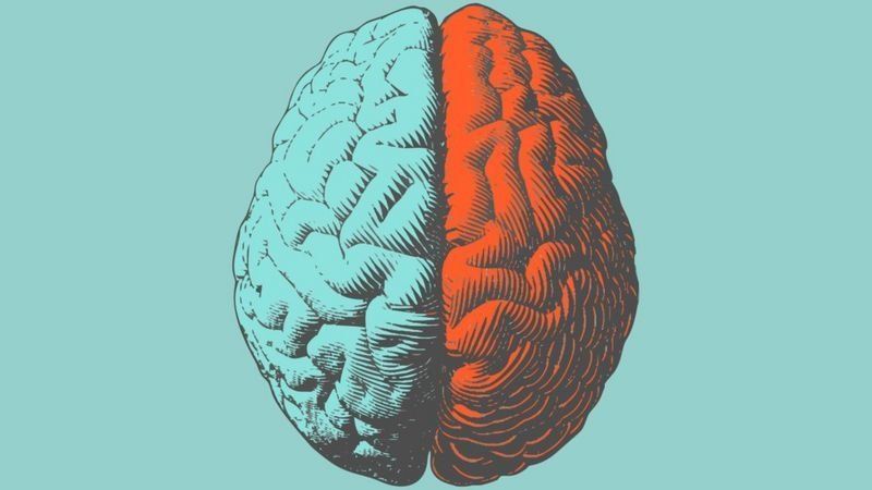 واقعیت‌های حیرت‌آور درباره افراد چپ دست