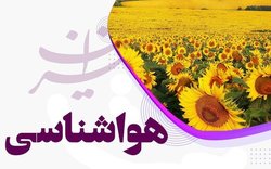 بارش پراکنده در استان‌های شمالی/ دریای عمان مواج می‌شود