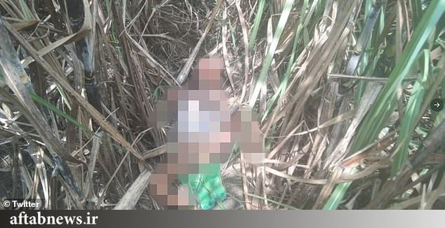 قتل دختر ۳ ساله پس از تجاوز جنسی به دلیل اختلاف بین خانواده‌ها