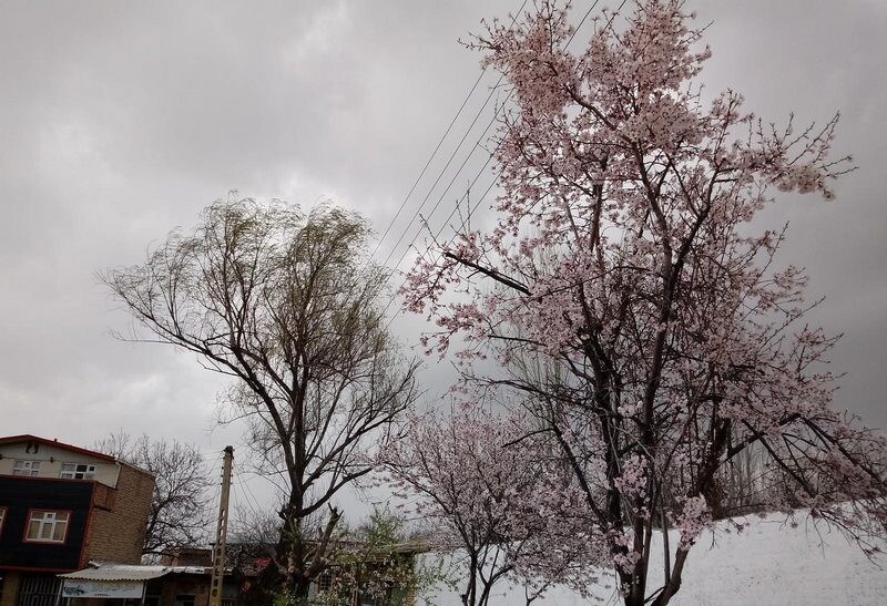 تجسمی از بهشت ایرانی که شما را مدهوش خود می کند! + تصاویر تجسمی از بهشت ایرانی که شما را مدهوش خود می کند! + تصاویر