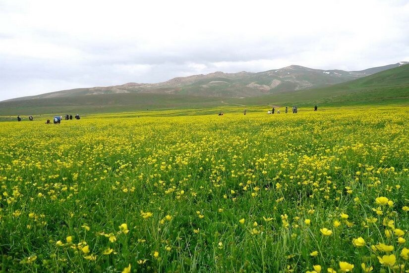 تصاویر | تجسمی از بهشت ایرانی که شما را مدهوش خود می کند! تصاویر | تجسمی از بهشت ایرانی که شما را مدهوش خود می کند!