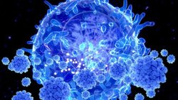 احتمال ابتلای همزمان به هر دو ویروس کرونا و آنفلوانزا ممکن است؟