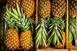 چرا آناناس در بازار نایاب شد؟