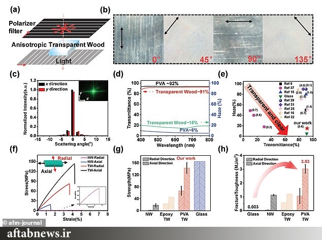 عکس| چوب شفاف، جایگزین شیشه می‌شود