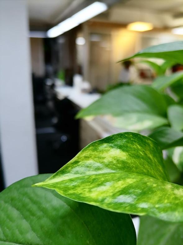 تصاویر| بررسی مشخصات گوشی هواوی Y ۸ p، خوشقیمتی کارآمد تصاویر| بررسی مشخصات گوشی هواوی Y ۸ p، خوشقیمتی کارآمد