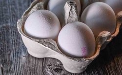 آغاز توزیع تخم مرغ با قیمت مصوب در سراسر کشور