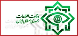 وزارت اطلاعات: شبکه سازمان یافته‌ای از دلالان و سوداگران دارویی دستگیر شدند