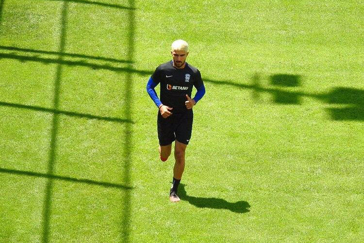 عقاب بهتر است یا بچه عقاب؟ عقاب بهتر است یا بچه عقاب؟