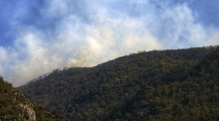 آتش جنگل‌های توسکستان بار دیگر شعله‌ور شد