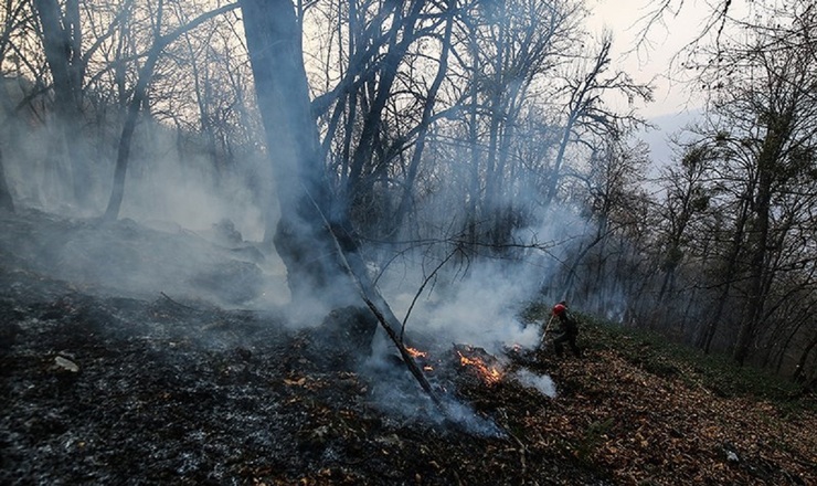 تصاویر| آتش‌سوزی در جنگل‌های گلستان