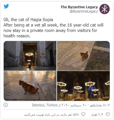 مرگ گربه مشهور ایاصوفیه و تسلیت استاندار استانبول +عکس مرگ گربه مشهور ایاصوفیه و تسلیت استاندار استانبول +عکس