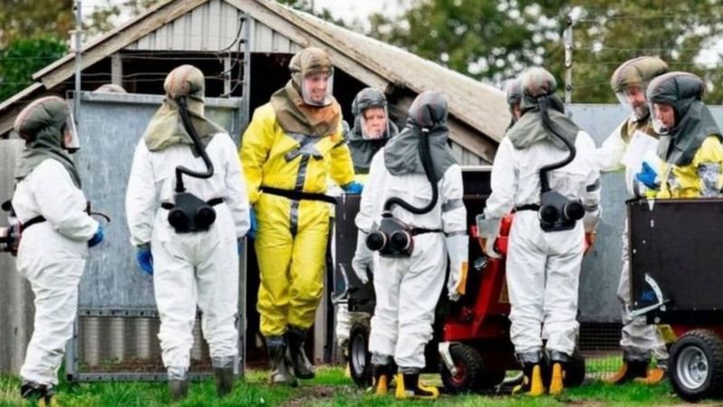 ویروس جهش یافته کرونا؛ «خوشه پنج» چیست؟