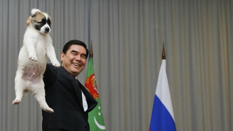 رونمایی از مجسمه طلایی سگ؛ رئیس‌جمهور ترکمنستان به آلابای نماد افتخار داد