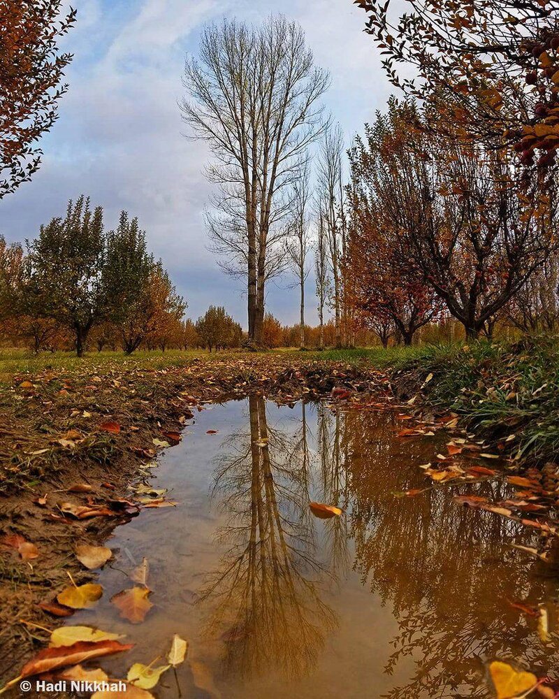 تصویری باورنکردنی از تغییرات شگفت‌انگیز طبیعت تنها در 18 روز